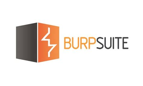 Hacking With Burp Suite Course